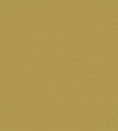 Esala Plains Fabric - Zest Zest