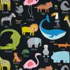 Animal Magic Wallpaper - Tutti Frutti / BlackBoard Tutti Frutti / BlackBoard