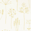 Stipa Wallpaper - Honey Honey