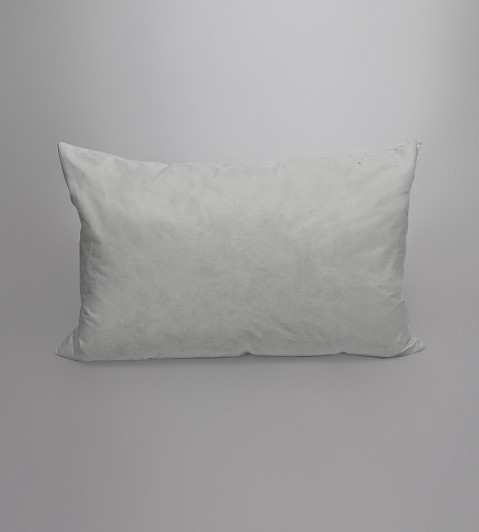 12 by 18 Inch Feather Cushion