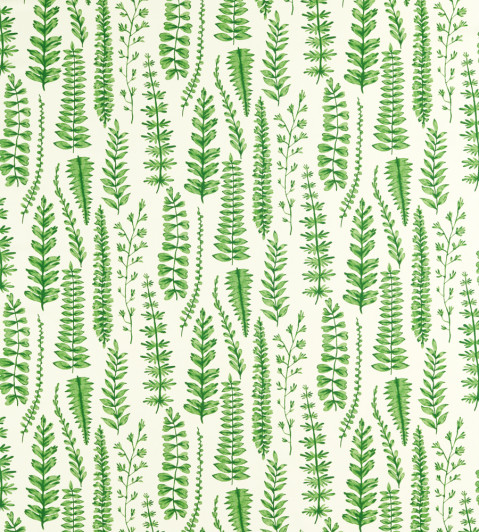 Ferns Fabric - Juniper Juniper