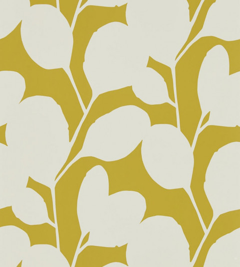 Ocotillo Wallpaper - Dandelion Dandelion