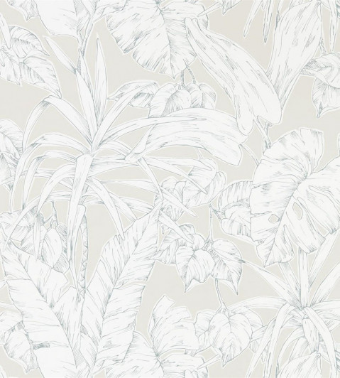 Parlour Palm Wallpaper - Raffia Raffia