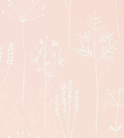 Stipa Wallpaper - Blush Blush