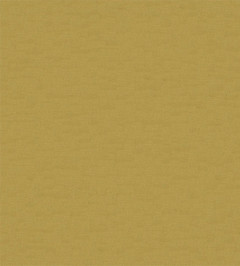 Esala Plains Fabric - Zest Zest