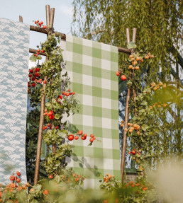 Central Check Wallpaper - Pea Green Pea Green