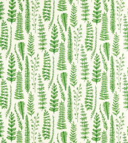 Ferns Fabric - Juniper Juniper