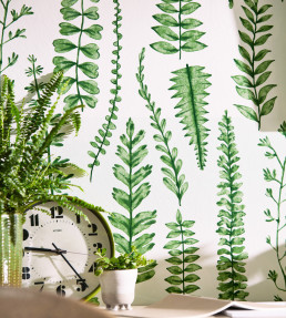 Ferns Wallpaper - Juniper Juniper