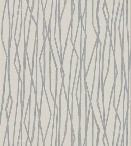 Genki Wallpaper - Fossil Fossil