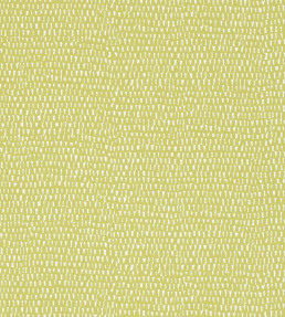 Totak Wallpaper - Kiwi Kiwi