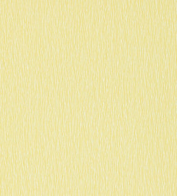 Bark Wallpaper - Zest / Chalk Zest / Chalk