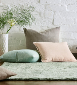 Plains One +1 Fabric - Blush Blush