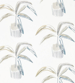 Crassula Wallpaper - Putty / Slate Putty / Slate