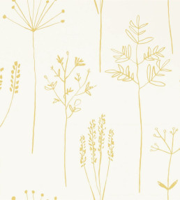 Stipa Wallpaper - Honey Honey