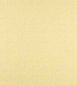 Samaki Fabric - Citrus Citrus