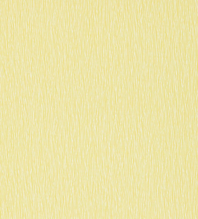 Bark Wallpaper - Zest / Chalk Zest / Chalk