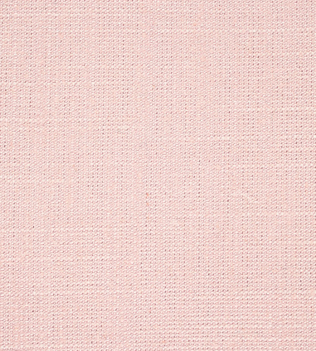 Plains One +1 Fabric - Blush Blush