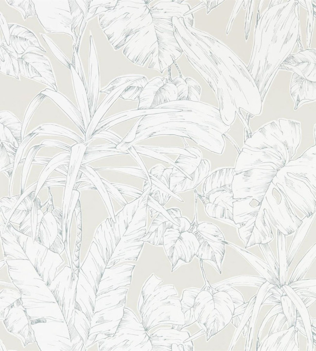 Parlour Palm Wallpaper - Raffia Raffia