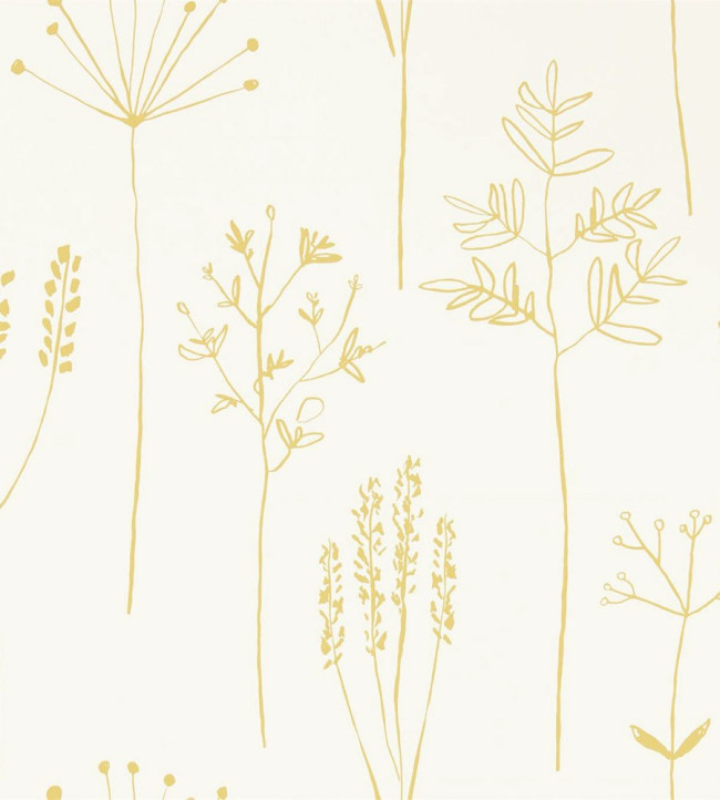 Stipa Wallpaper - Honey Honey
