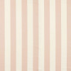 Central Stripe Fabric - Blush Blush