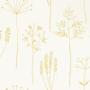 Stipa Wallpaper - Honey Honey