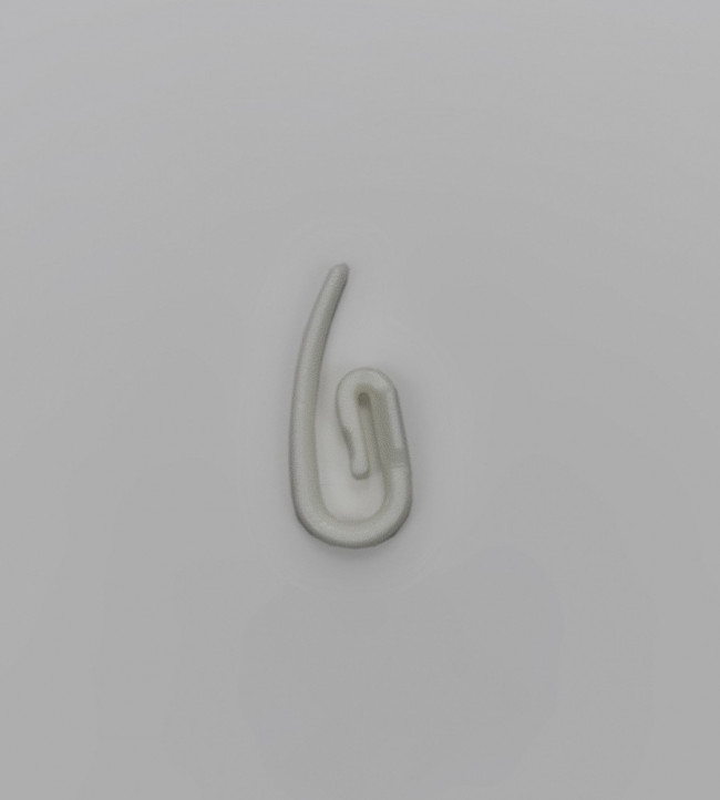 25 Curtain Hooks White