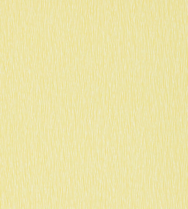 Bark Wallpaper - Zest / Chalk Zest / Chalk