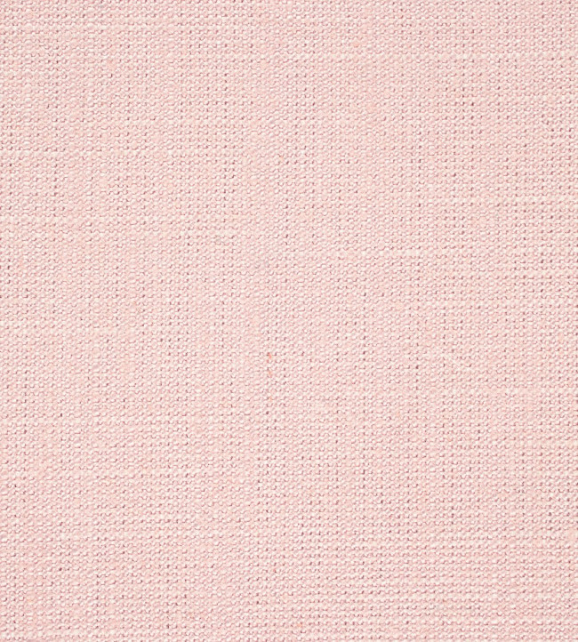 Plains One +1 Fabric - Blush Blush