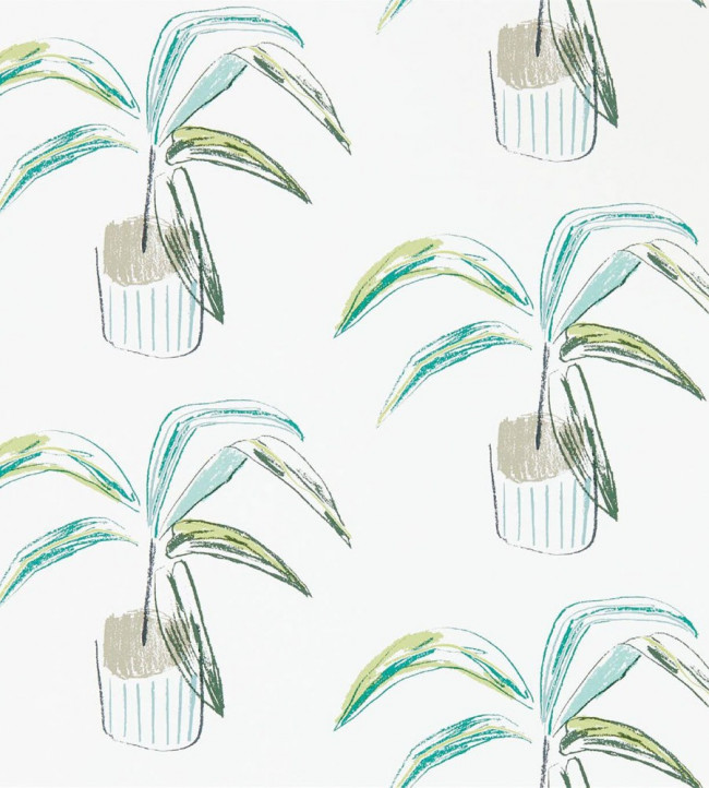 Crassula Wallpaper - Juniper / Lime Juniper / Lime