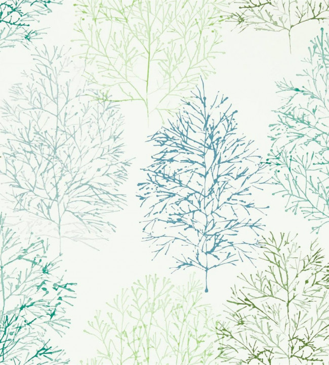 Soetsu Wallpaper - Kiwi / Slate Kiwi / Slate