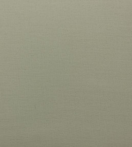 Blackout Lining - Cream - Cream Cream