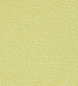 Totak Wallpaper - Kiwi Kiwi