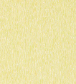 Bark Wallpaper - Zest / Chalk Zest / Chalk