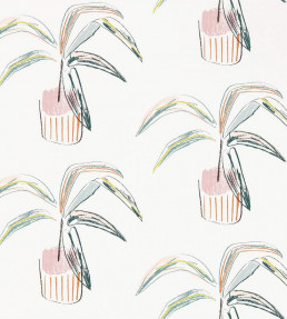Crassula Wallpaper - Blush / Mint Blush / Mint