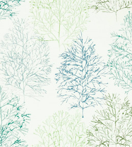 Soetsu Wallpaper - Kiwi / Slate Kiwi / Slate