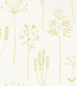 Stipa Wallpaper - Honey Honey