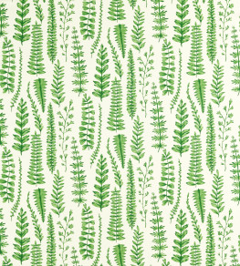 Ferns Fabric - Juniper Juniper