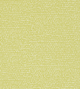 Totak Wallpaper - Kiwi Kiwi