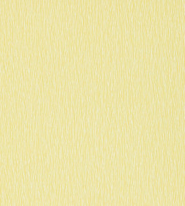 Bark Wallpaper - Zest / Chalk Zest / Chalk