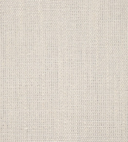 Plains One +1 Fabric - Parchment Parchment