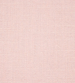 Plains One +1 Fabric - Blush Blush