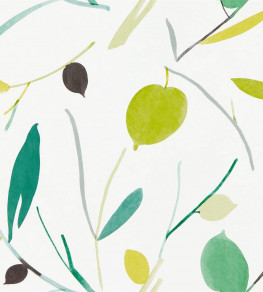 Oxalis Wallpaper - Kiwi / Juniper Kiwi / Juniper