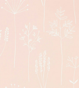 Stipa Wallpaper - Blush Blush