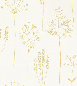 Stipa Wallpaper - Honey Honey