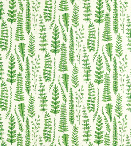 Ferns Fabric - Juniper Juniper