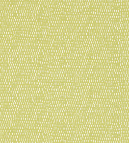 Totak Wallpaper - Kiwi Kiwi