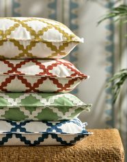 Scion cushion