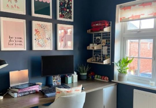 Dark blue office walls