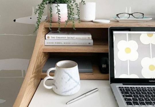 Mr Fox in Grey for your home office